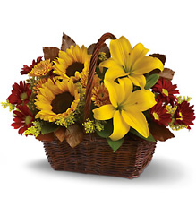 Golden Days Basket from Arjuna Florist in Brockport, NY